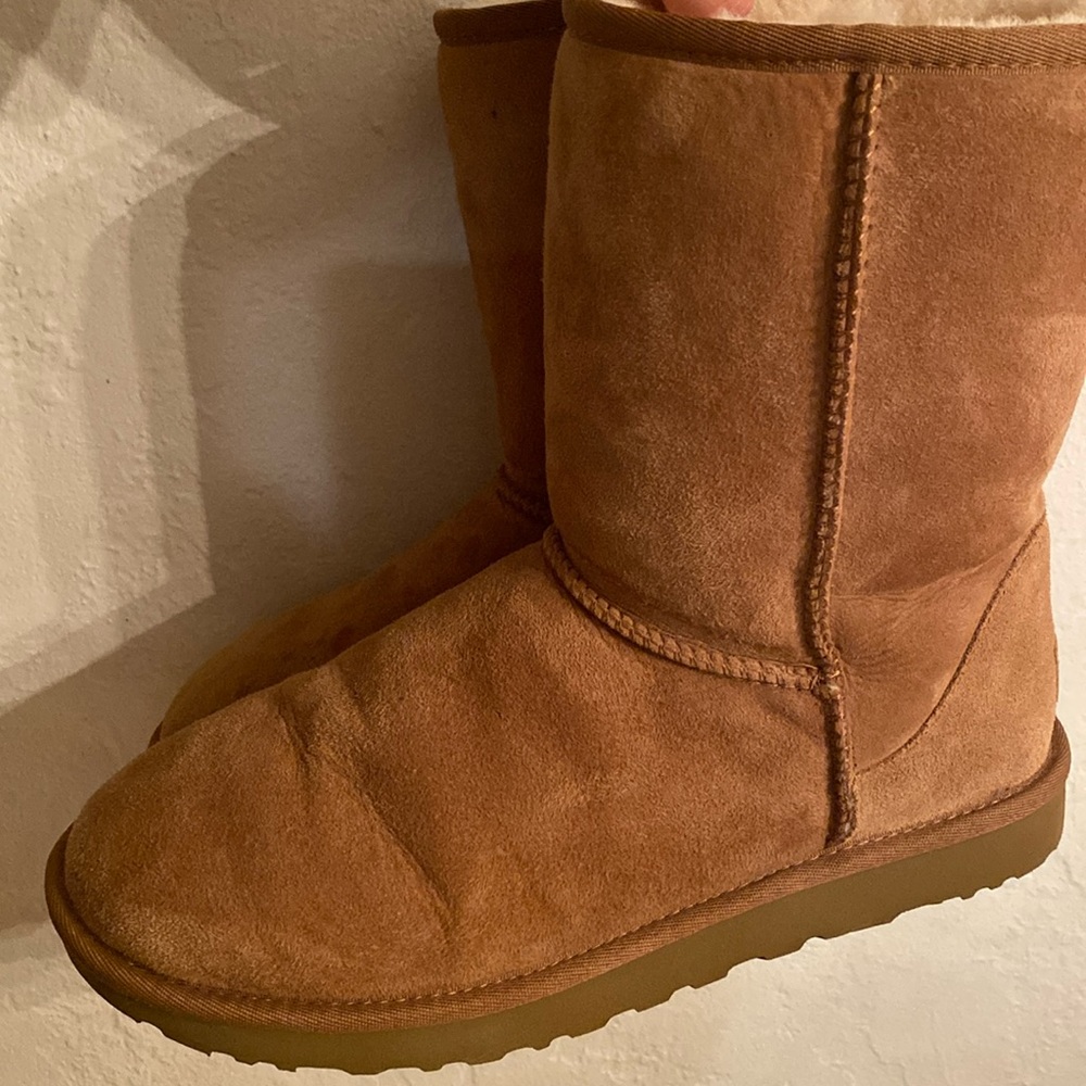 Authentic Chestnut UGGs Australia